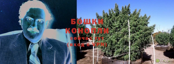 дурь Верея