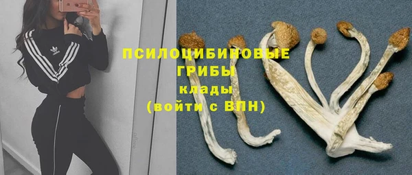 дурь Верея