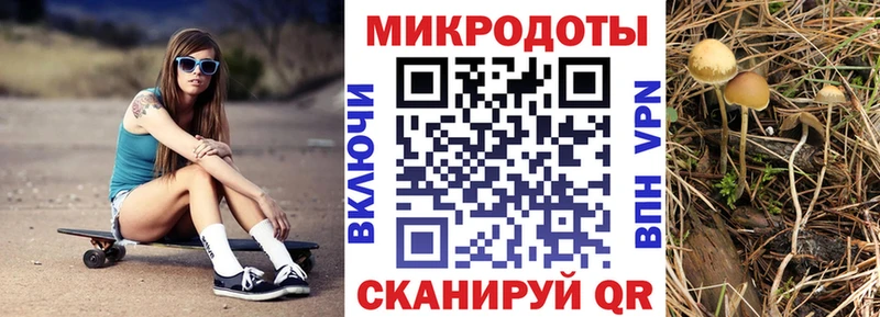 Псилоцибиновые грибы GOLDEN TEACHER  mega как зайти  Меленки 